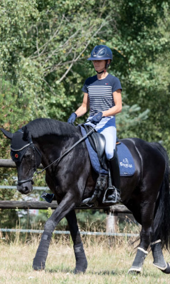 Starzup  Expert du pantalon d'équitation élégant et innovant