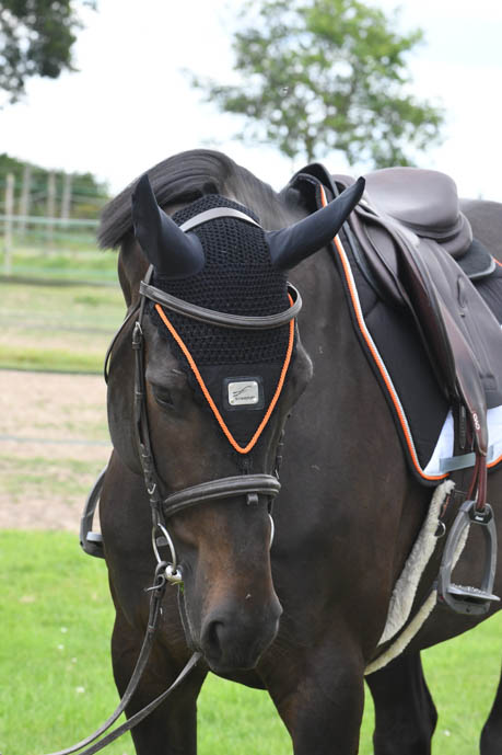 équipement équitation cheval accessoires selle tapis bonnet cheval